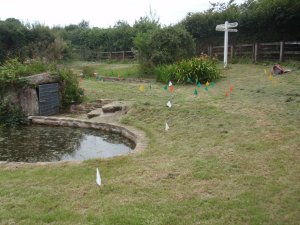 OLYMPUS DIGITAL CAMERA